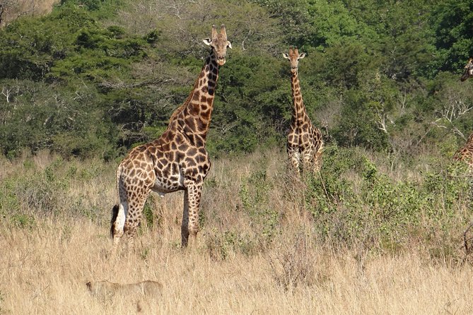 3 Days Durban Safari Tour Package - St Lucia Estuary and iSimangaliso Wetland Park