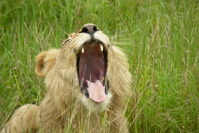 3 Days Durban Safari Tour Package - Group size, comfort, and practical limits