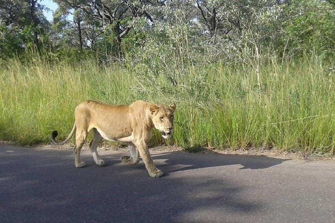 3 Days Johannesburg - Kruger Safari- Blyde River Canyon - Is $597.95 good value?
