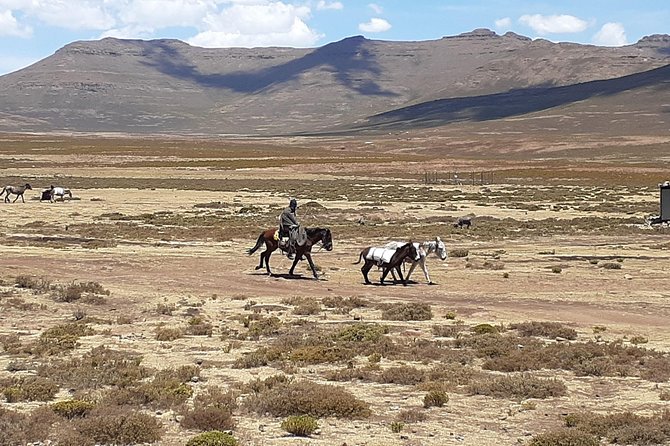 3 days Lesotho Private Tour, Sani Pass and Maletsunyana Falls - Practical details that matter