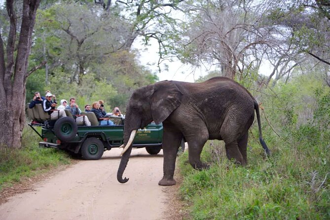 3-Days Ultra Luxury Safari at Kapama River Lodge - Day 2: The safari day that carries the trip