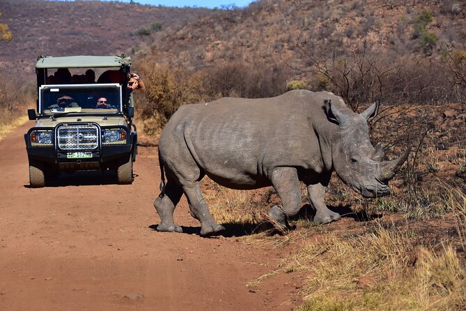 3-Hour Private Game Drive of Pilanesberg National Park - What your field guide adds to the drive