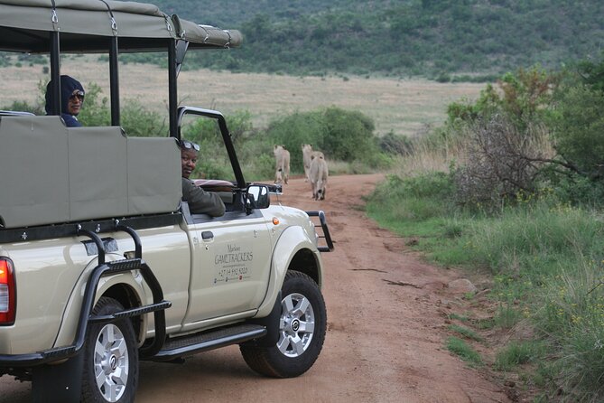 3-Hour Private Game Drive of Pilanesberg National Park - The best parts, and the small drawbacks