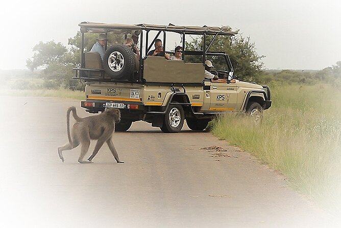 3 Night & 4 Day Private Kruger Park Safari - What makes this Kruger safari different