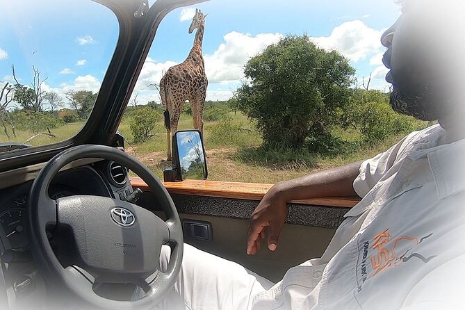 3 Night & 4 Day Private Kruger Park Safari - Day 1: Airport pickup, lunch, and a sunset game drive