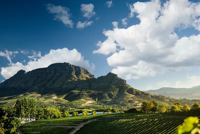 3 Wineries Private Tour in Stellenbosch, Paarl Tasting Included - A private wine day from Cape Town