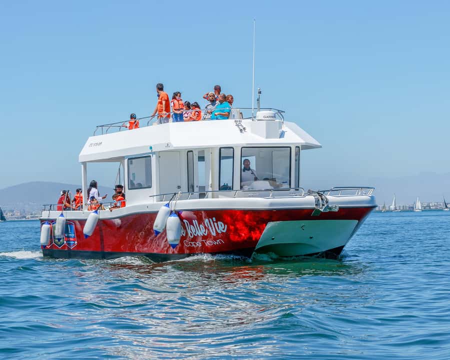 30min V&A Waterfront Harbour Cruise Cape Town - Key points to know before boarding