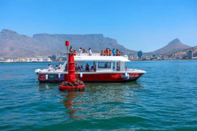 30min V&A Waterfront Harbour Cruise Cape Town