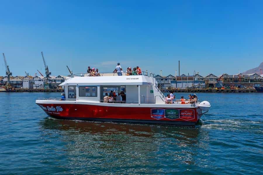 30min V&A Waterfront Harbour Cruise Cape Town - Table Mountain from the harbour