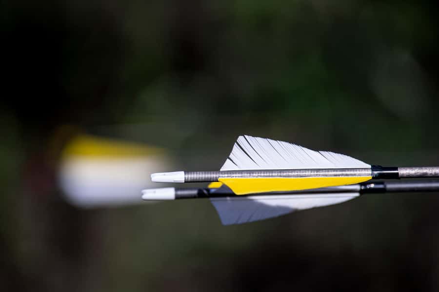 3D Archery Adventure - Plettenberg Bay - Key points to know before you book