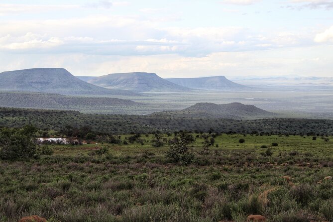 4 Day Addo to Karoo Safari - Who will get the most from this safari