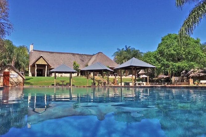 4 Day All Incl. Private Kruger Park Safari and Transfer From Nelspruit - Day four: one final morning safari
