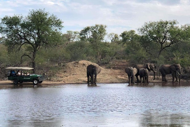 4 Day Budget Kruger National Park Safari - Marc’s Camp: simple tented comfort and real bush sounds