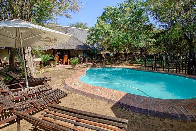 4 Day Budget Kruger National Park Safari - Day three: one full day inside Kruger National Park
