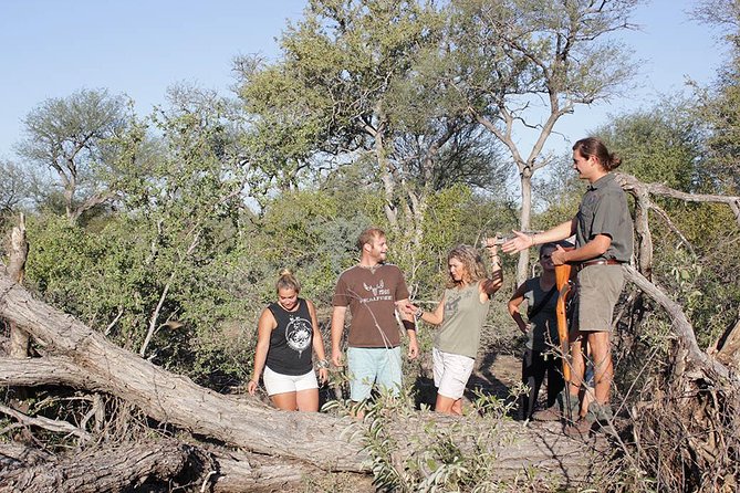 4 Day Classic Kruger National Park Safari - The full Kruger day: Orpen, Satara, and Nwanedzi
