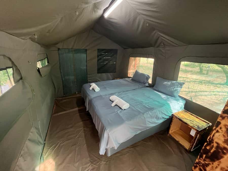 4 Day Dumela Tented Camp Safari - The safari in six useful facts