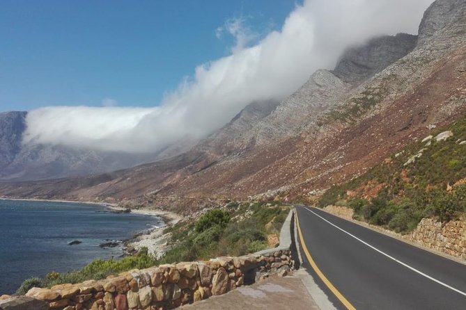 4 Day Garden Route Adventure & Safari - Day four: Morning animals and Hermanus whales