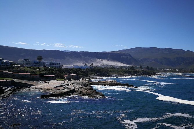 4 Day Garden Route Adventure & Safari - Who should book this four-day route?