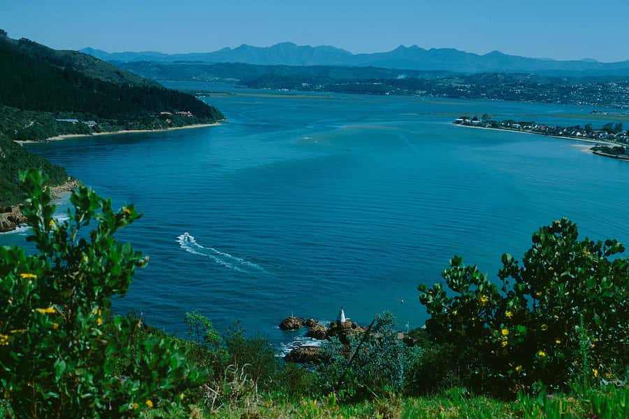 4-Day Garden Route Experience - Day 2: Ostrich country, Knysna, and the Bloukrans bridge