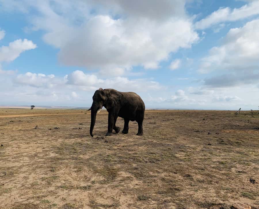 4-Day Garden Route Experience - Who should book this Garden Route tour?