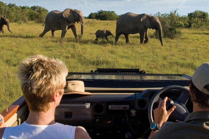 4 Day Garden Route Luxe Selection Micro Group Tour from Cape Town - Key points to know before booking