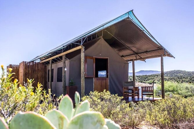 4 Day Garden Route Luxe Selection Micro Group Tour from Cape Town - Day 4: Viljoensdrift and the Breede River wine route
