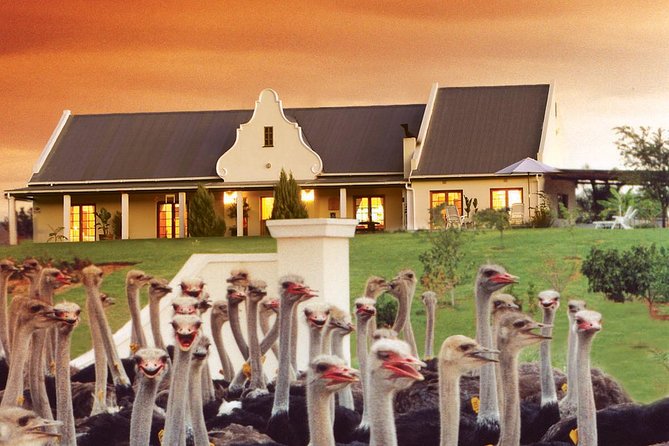 4 Day Garden Route Meander Safari Tour with Private Transfers - Key things to know before booking