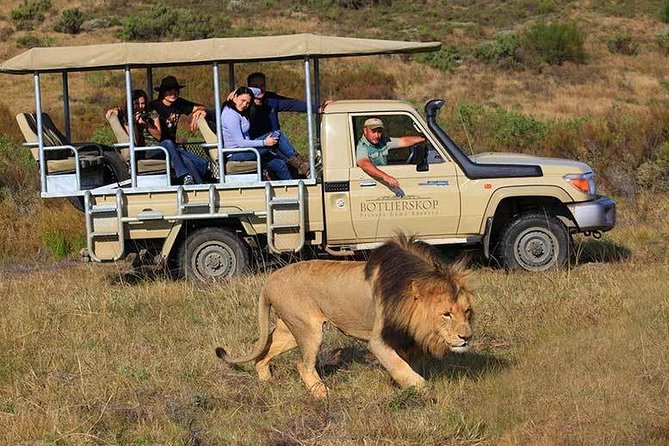 4 Day Garden Route Meander Safari Tour with Private Transfers - Day 3: Knysna Lagoon and the Botlierskop bush