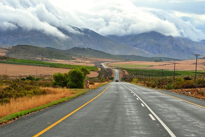 4 Day Garden Route Meander Safari Tour with Private Transfers - Is $2,109.52 per person fair value?