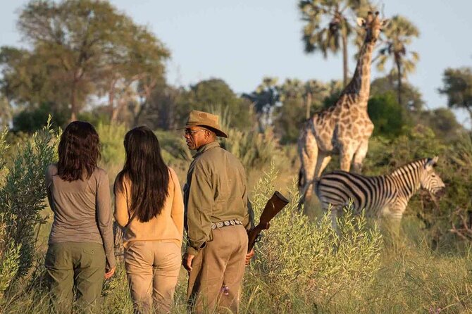 4 Day Garden Route Tour from Cape Town A Hiking and Safari - Who should book this Garden Route tour?