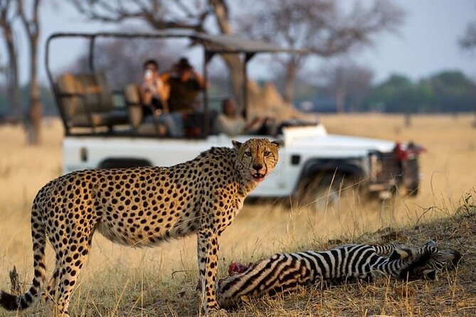 4 Day Garden Route Tour from Cape Town A Hiking and Safari - FAQ