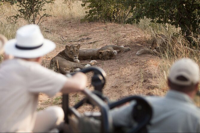 4 Day Greater Kruger Kapama Game Lodge Safari with Panorama Route Journey - What the $2,164.51 price really covers