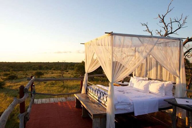 4 Day Greater Kruger Kapama Game Lodge Safari with Panorama Route Journey - Who will enjoy this Kapama safari most