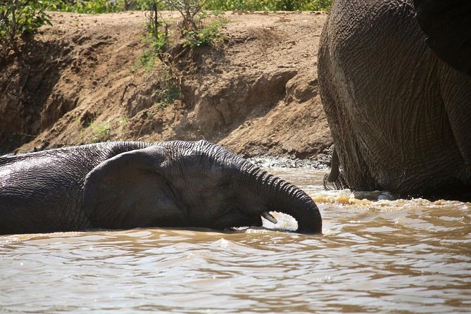 4 Day Greater Kruger Kapama Game Lodge Safari with Panorama Route Journey - Practical points that can affect your plans