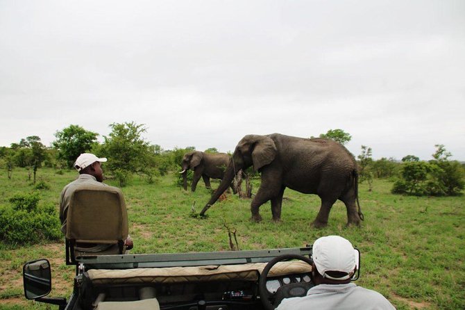 4 Day Greater Kruger National Park Adventure Safari - Key Points Before You Book