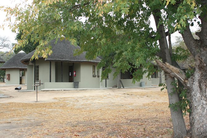 4 Day Greater Kruger National Park Adventure Safari - Midday at Camp: Rest, Swim, or Watch the Bush