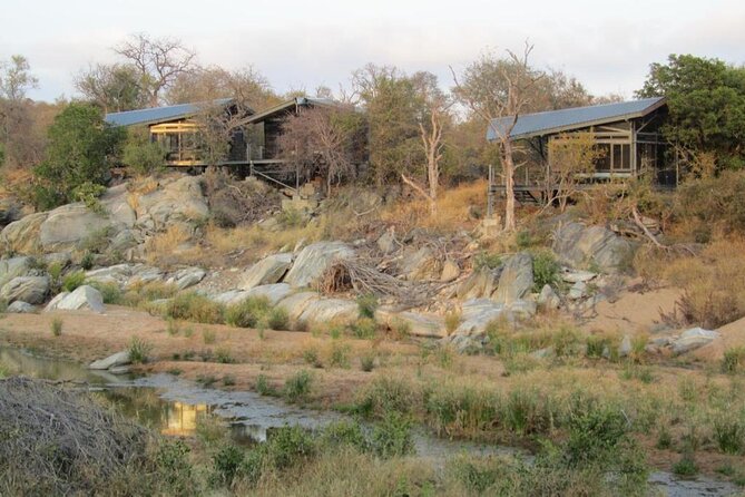 4 Day Greenfire Game Lodge Safari - Why four days works for a first Greater Kruger safari