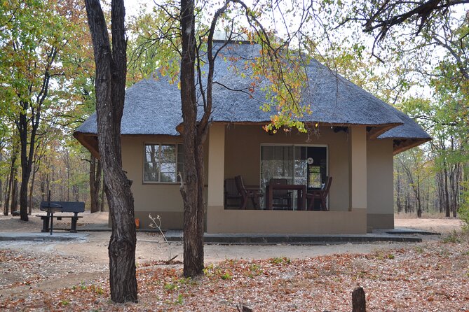 4-Day Hluhluwe Imfolozi and St Lucia Safari from Durban - Day one: From Durban to cheetah conservation