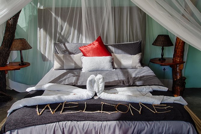 4 Day Katekani Lodge Kruger National Park Safari - The wildlife experience: variety matters more than promises