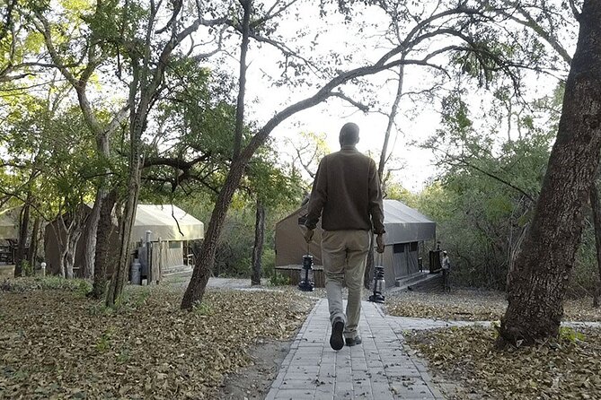 4 Day Kruger Adventure Safari - Day 2: The long safari day from 6:00 am to 3:30 pm