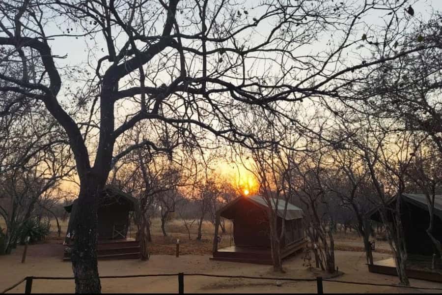 4 Day Kruger Glamping Budget Adventure - The camp: pleasant glamping with details to verify