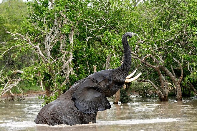 4 Day Kruger National Park and Panorama Route Safari - Day 3 trades animals for the Panorama Route