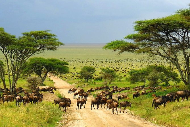 4 Day Kruger National Park and Panorama Route Safari - Who will get the most from this trip?