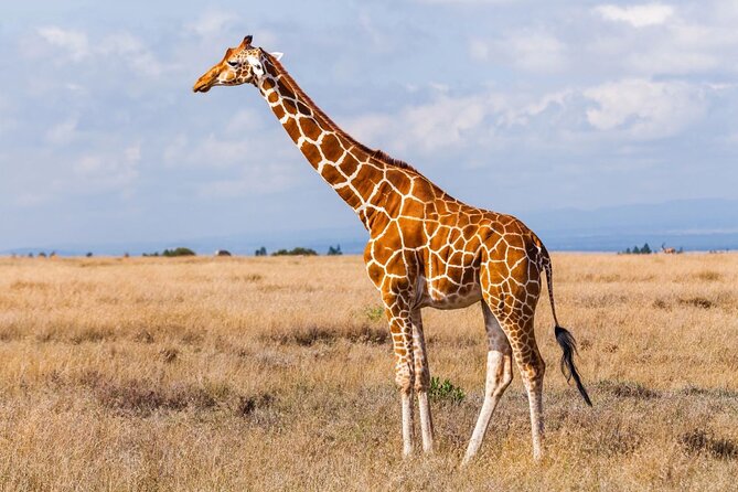 4 Day Kruger National Park and Panorama Tour from Johannesburg - Why combine Kruger with the Panorama Route?