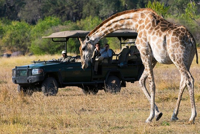 4-Day Kruger National Park & Panorama Route Tented Safari - Guides, vehicles, and the Big Five promise