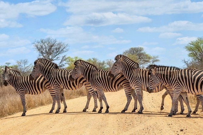4-Day Kruger National Park & Panorama Route Tented Safari - The practical drawbacks to consider