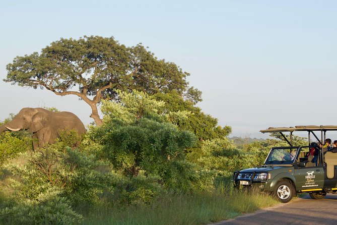 4-Day Kruger National Park Safari including Breakfast and Dinner - Key details before you book