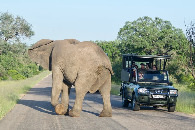 4-Day Kruger National Park Safari including Breakfast and Dinner - The guides, the real heart of the safari