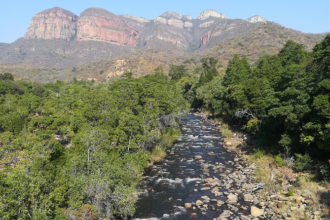4 Day Kruger National Park Tour - What this four-day safari is really designed to do