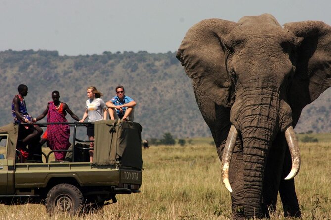 4 Day Private Garden Route Safari from Cape Town - What the private format adds
